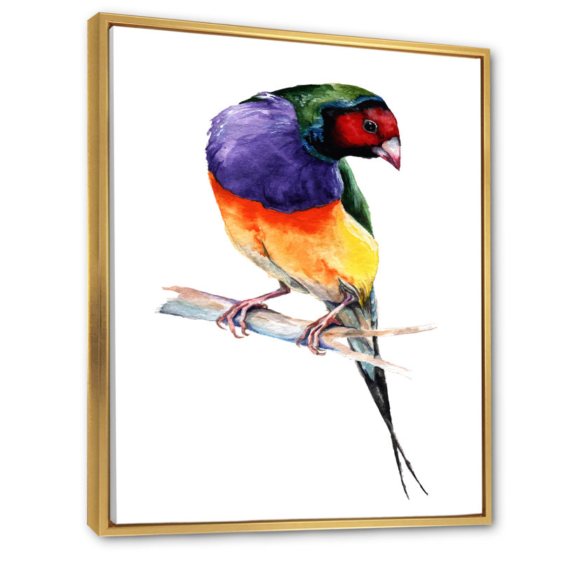 «Colorful Gouldian Finch Bird», reproduction d'art sur toile encadrée, H 12 po x l 8 po x P 1 po, Cadre flottant doré