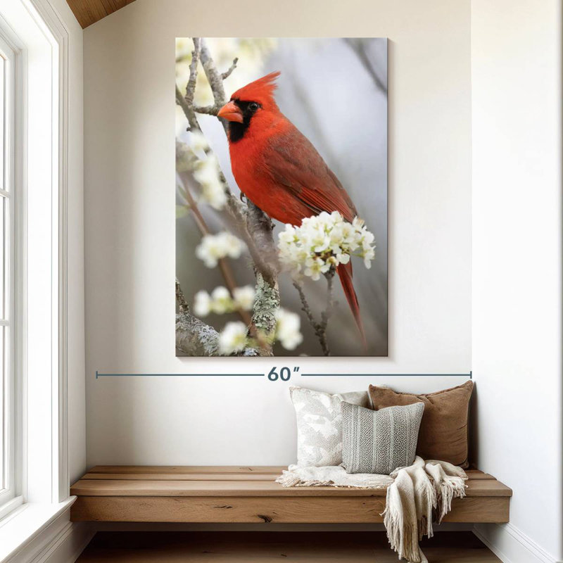 Brampt Northern Cardinal On Flowery Branch, 51" H x 34" W