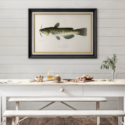 Œuvre de poisson-chat à tête de bar, art de bord de mer, impression encadrée sur toile, impression sur toile.