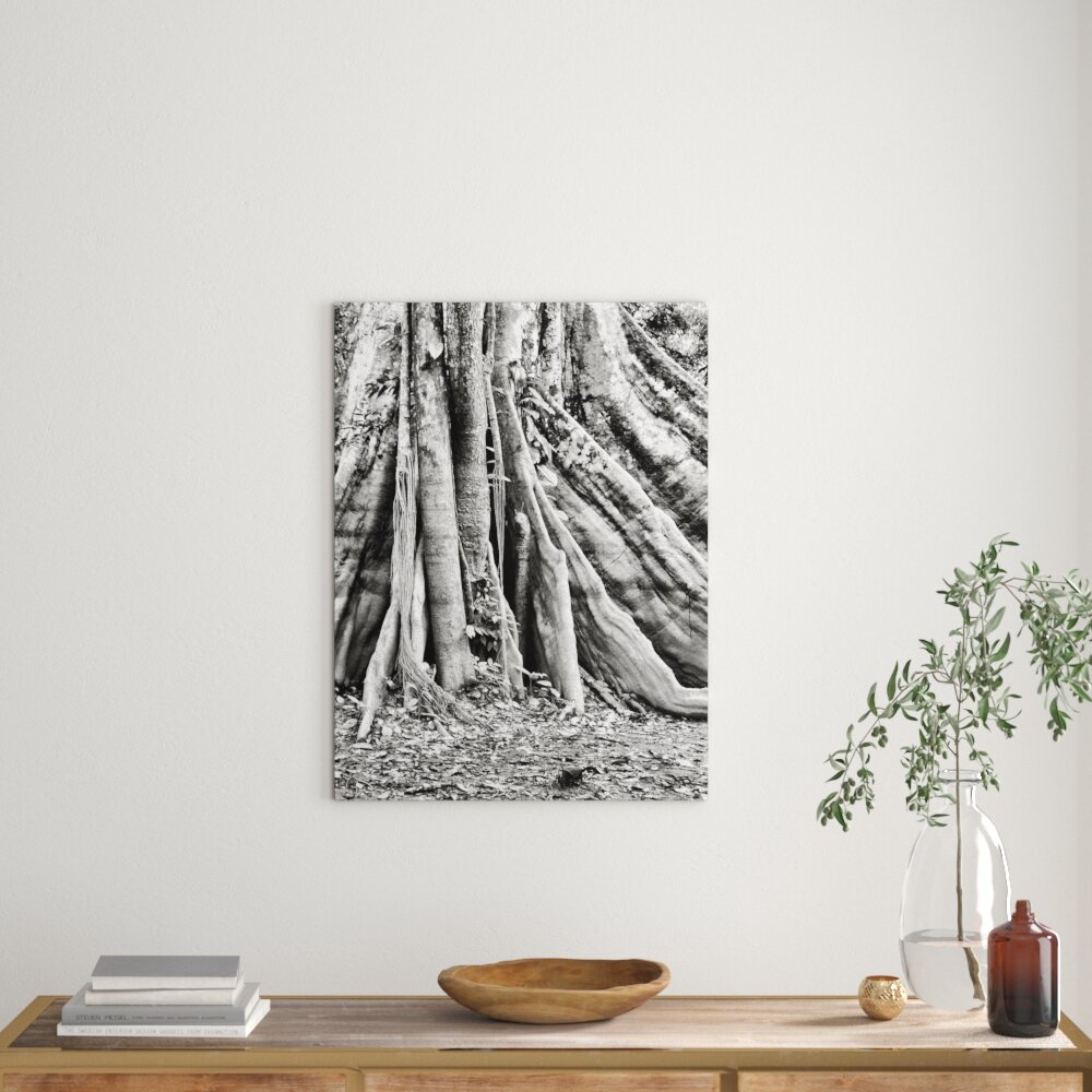 Leinwandbild Mächtiger Urwald Baum