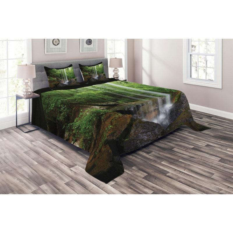 Modern & Contemporary Polyester Coverlet