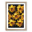 A Wall of Yellow Sunflowers in Abstract - Framed Print-55629360-55629361