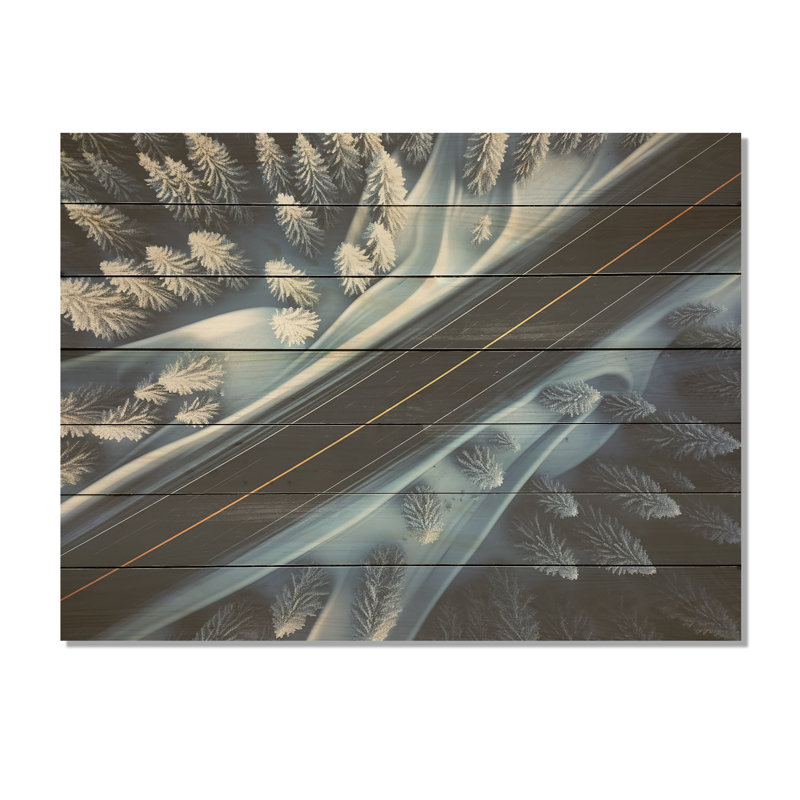 Endless Road Into Winter Forest IV - Route sur bois, H 10 po x l 20 po