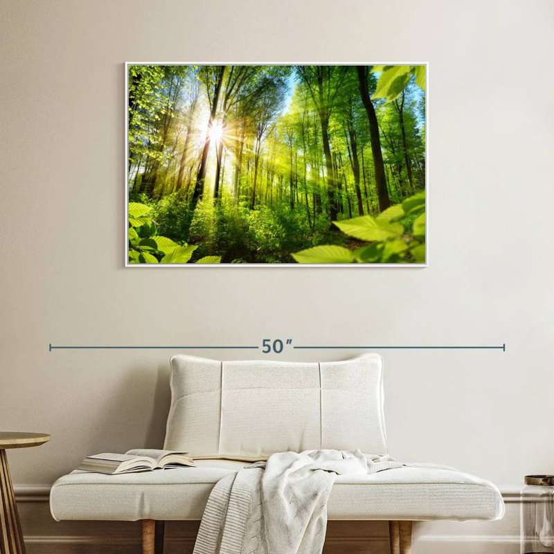 Forêt ensoleillée, Cadre flottant blanc, 40 po x 27 po