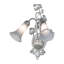 2 - Light Armed Sconce