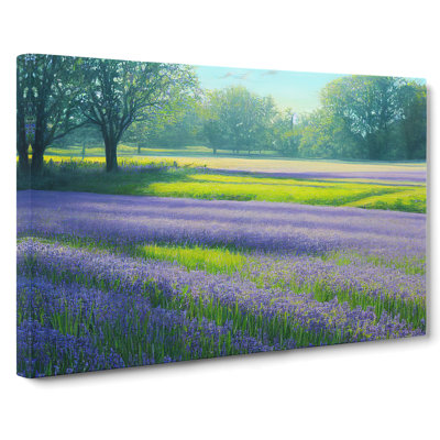 Exceptional Bluebell Field - Wrapped Canvas Print