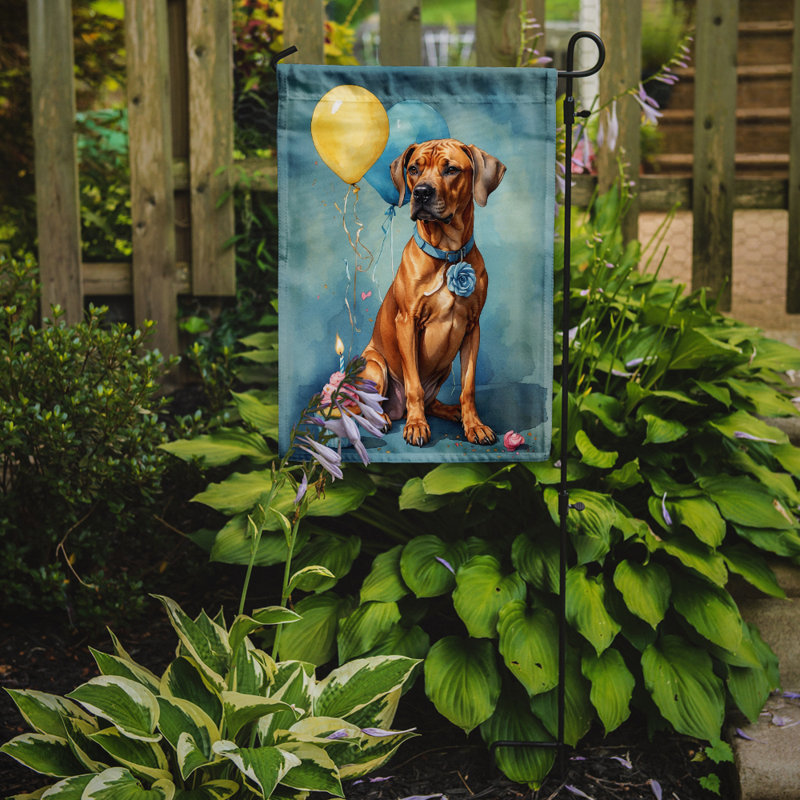Drapeau de jardin «Happy Birthday», Chien de Rhodésie à crête dorsale