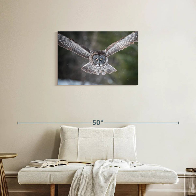Brampt Flying Winter Owl, 20" H x 30" W