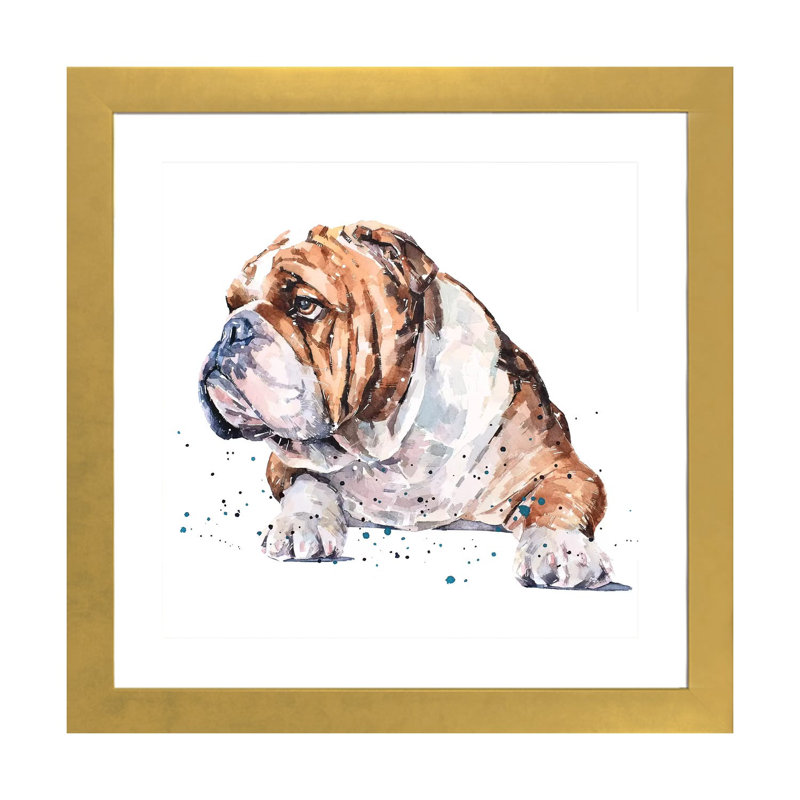 "English Bull Dog I" par Edwatercolours-impression, Blanc, H 24 po x l 24 po x p 1 po, Papier encadré doré