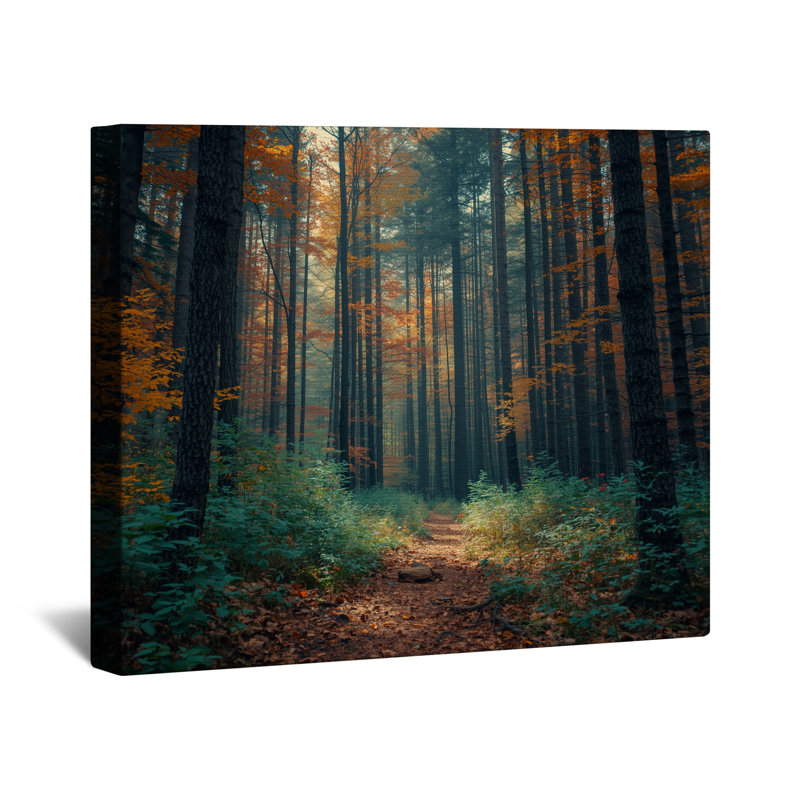Chemin d'automne sur toile, 12 x 12 pouces