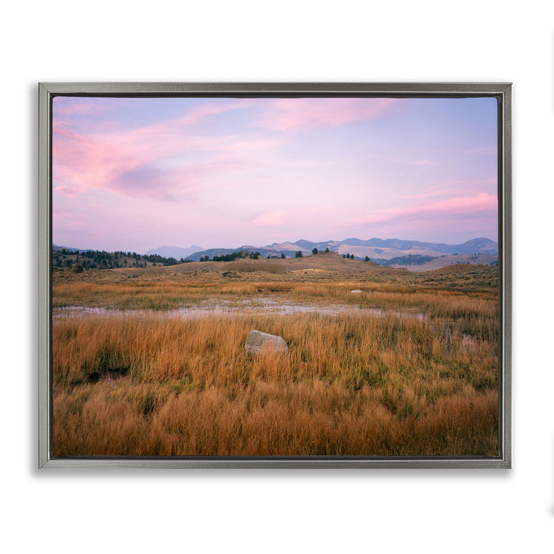 Cadre flottant Morning Light, Rock & Grasses, design par Jim Becia, H 17 po x l 21 po, Cadre flottant gris lustré