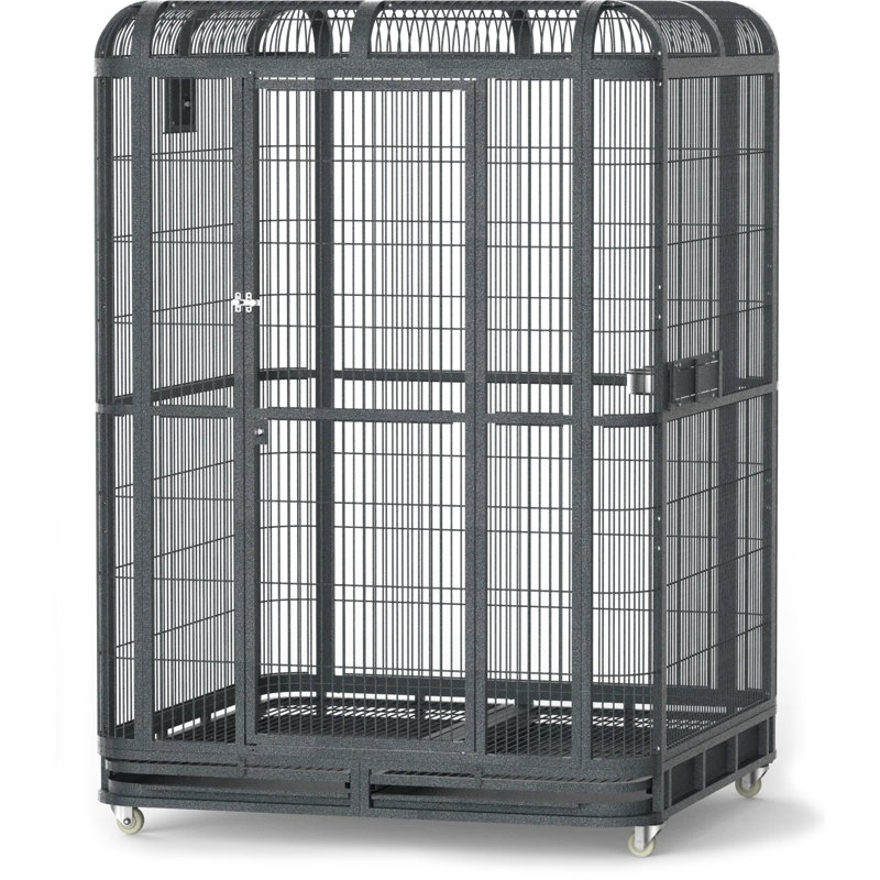 Cage de vol plate configurable en fer 79 po avec base additionnelle Ceilean