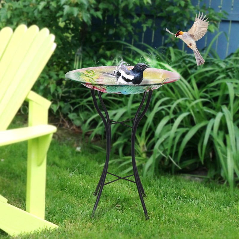 Bain d'oiseaux Kristoff