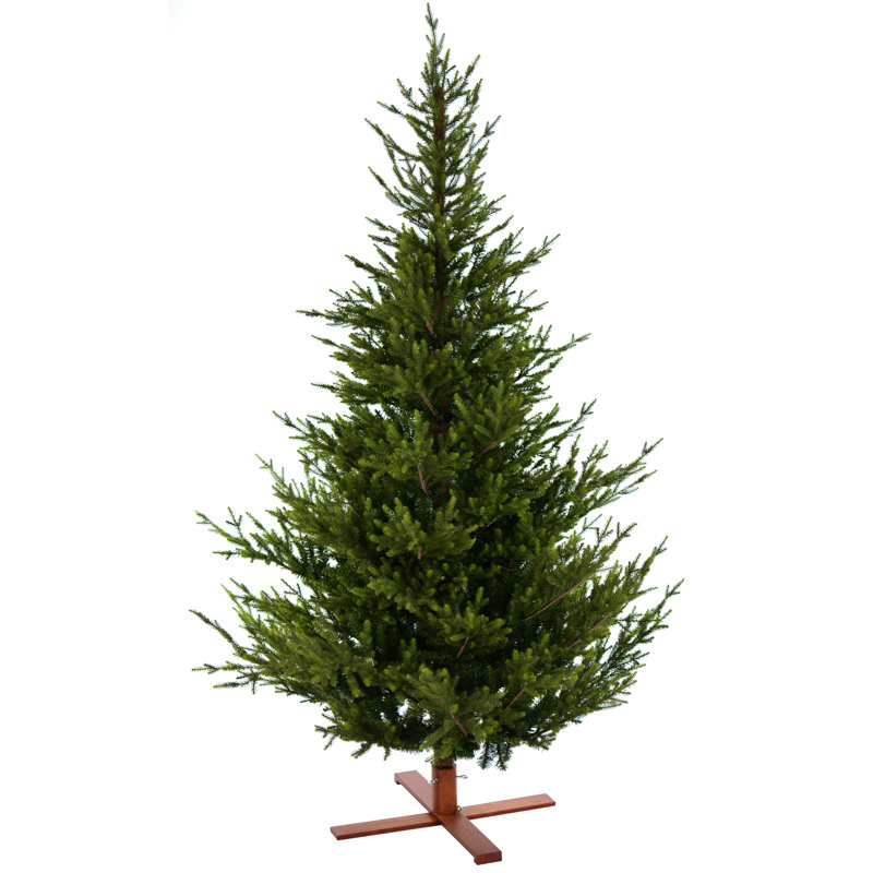 Sami Mountain Spruce Wood DB Base pre-shaped, 7.48 ft