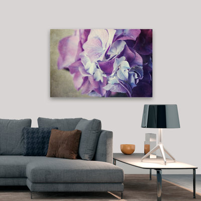 Plantes, fleurs, hortensia, art mural