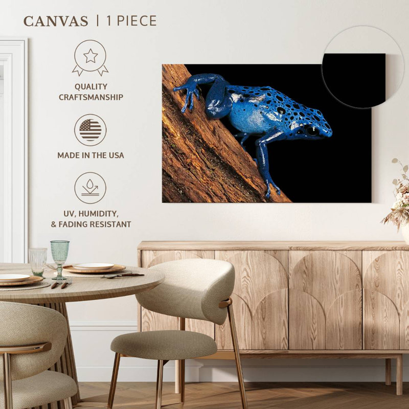Blue Poison Arrow Frog, 34" H x 51" W