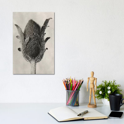 Blossfeldt Botanical VI by Karl Blossfeldt - Wrapped Canvas Print