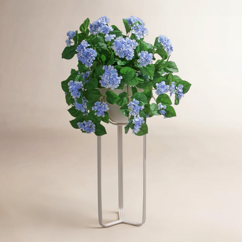 Hortensia suspendu 27 "UV, Bleu