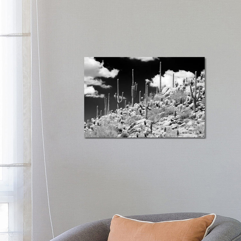 Saguaro Cactus Hill by Philippe Hugonnard - Wrapped Canvas Print, 66.04 cm H x 45.72 cm W x 1.91 cm D