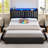 Sharella Upholstered Storage Bed With Charging Station And LED Lights-1555297248