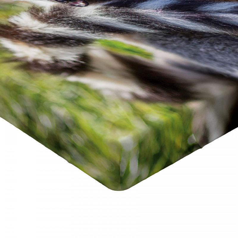 Microfiber Fitted Sheet, Twin Fitted Sheet