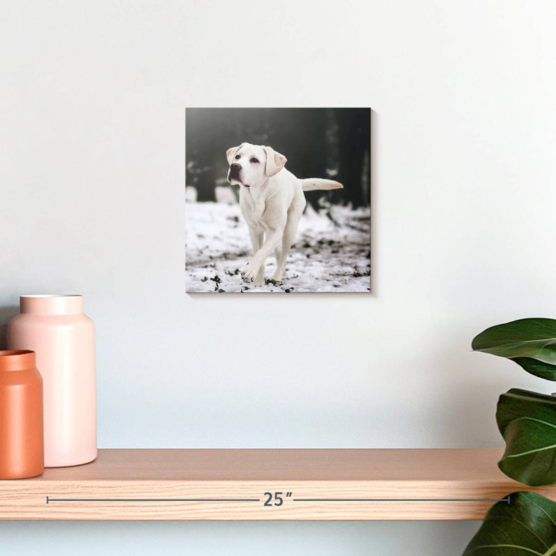 Brampt Labrador Retriever, 10" H x 10" W