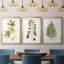 Nature Printed Botanicals douzième-257825203-257825215