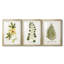 Nature Printed Botanicals douzième-257825203-257825215