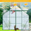 Serre en polycarbonate à double porte 8X6FT-Green-124683666