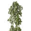 Vigne 18 po en plastique naturel-1651645297