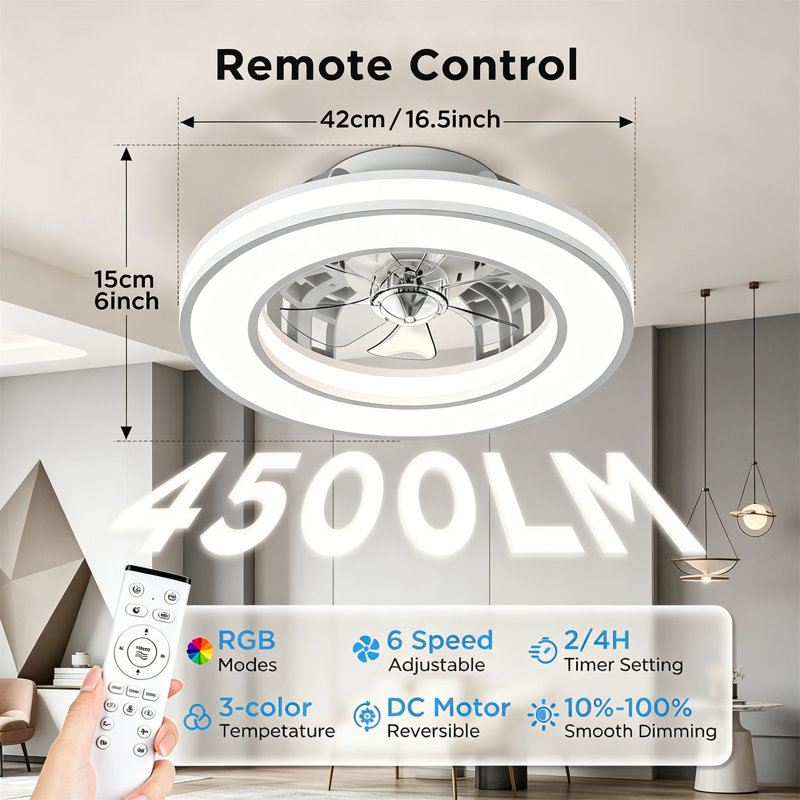 Ceiling Fan