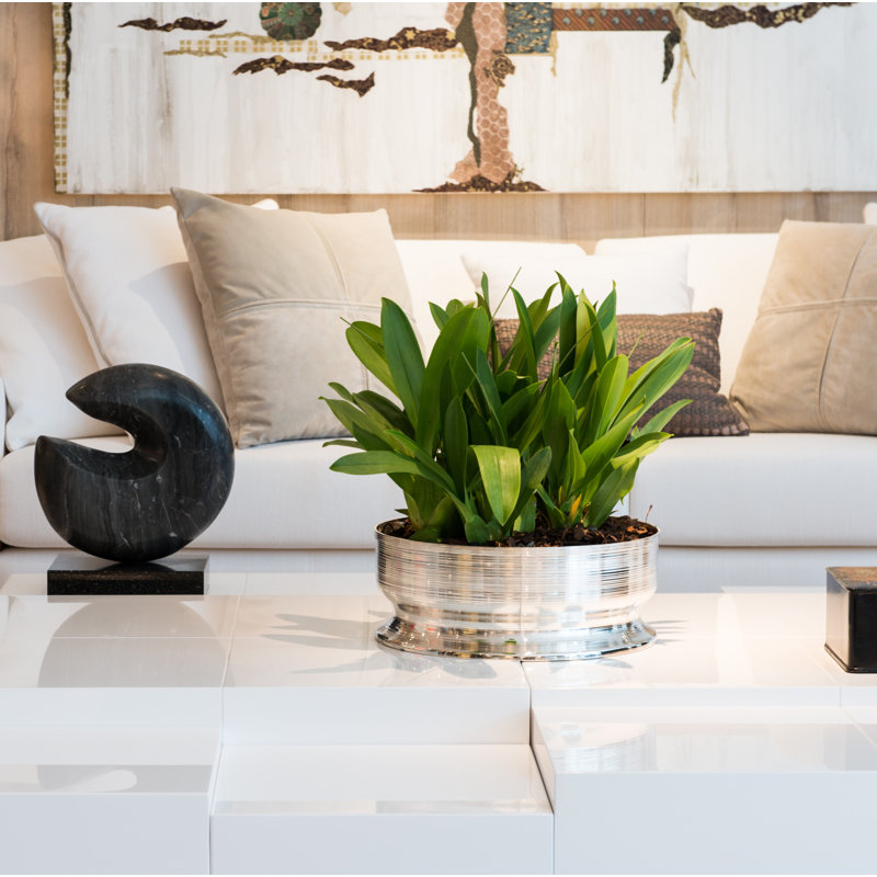 Vasos E Centros De Mesa Metal Planter, 16" H x 16" W x 6" D