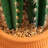 41in. Artificial Cactus in Terracotta Planter-1396300893