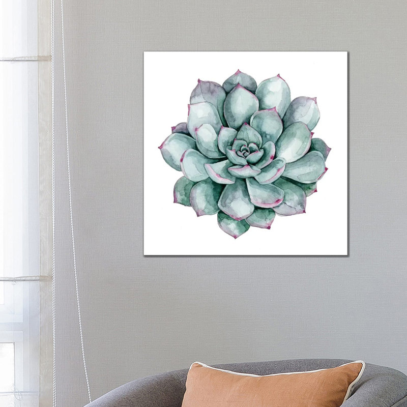 Succulent Swatches II 1 Piece Wrapped Canvas Wall Art, 66.04 cm H x 66.04 cm W x 1.91 cm D