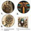 Mystic Beetle 1 - insectes et insectes, art mural-309848108-276819604