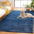 Beltsville Indoor Rug-1984313913