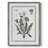 Dandelion I Framed Print - Solid Wood 50200-397534965