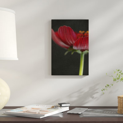 «Chocolate Cosmos Flower II» par Alyson Fennell, reproduction sur toile tendue sur châssis