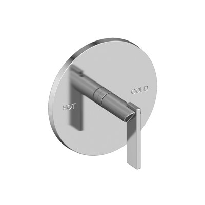 Balanced Pressure Shower Trim Plate With Handle. Less Showerhead, Arm And Flange.