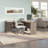 Aralee 65'' Desk-87918532