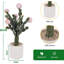 Arrangement