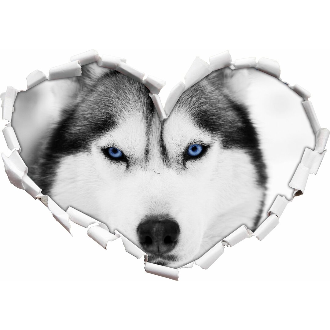 Wandtattoo Husky mit blauen Augen