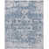 Oriental Area Rug in Blue/Ivory