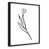 Black Framed Canvas