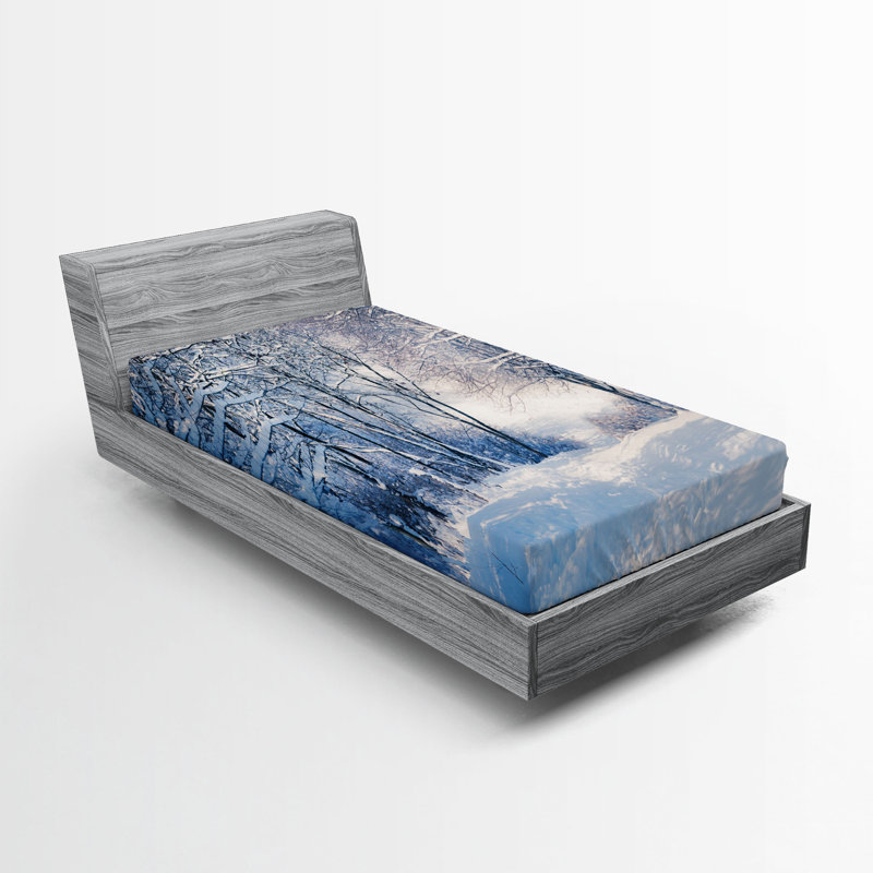 Ensemble de 2 draps-housse Ambesonne Winter, Drap-housse de taille simple