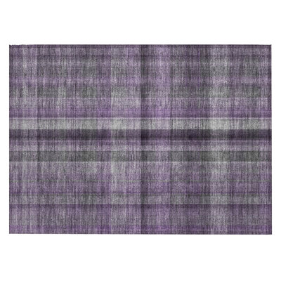 Tapis intérieur lavable antidérapant 2 pi x 3 pi mauve