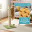 Grattoir pour chat 33 po-2105478717-2104593738