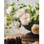 Fleurs roses artificielles 17 po-147219306