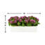 Kalanchoe Arrangement in Fiberstone Planter-1646607056-1624349388