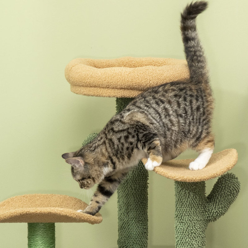 Plymouth 83cm H Cat Tree